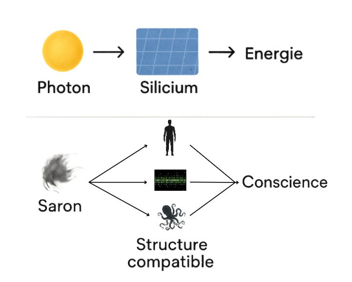 The Saron Hypothesis diagram